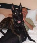 Thierry  49 ans Mende France