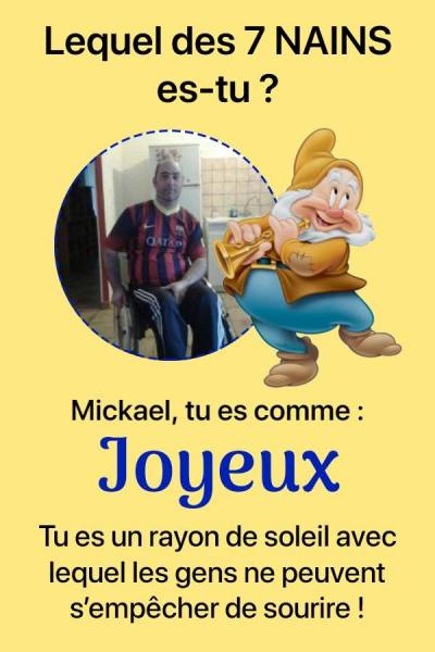 Mikado 51 years Chaillon France